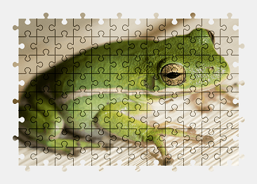 Jigsaw puzzle online green,frog,animal