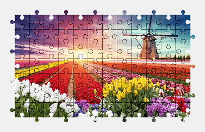 Jigsaw puzzle online tulip,field,windmill,colorful,flower,nature