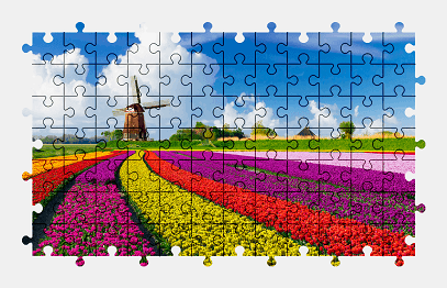 Jigsaw puzzle online tulip,field,windmill,netherlands,nature,colorful,flower,color