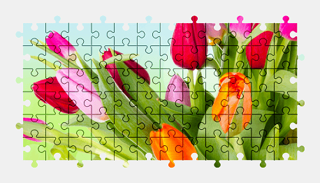 Jigsaw puzzle online tulip,flower,colorful