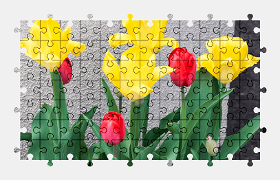 Jigsaw puzzle online color,tulip,flower,colorful,nature