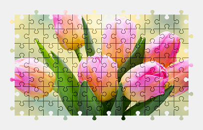Jigsaw puzzle online tulip,flower,nature,colorful
