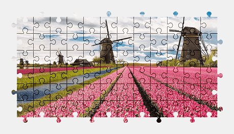 Jigsaw puzzle online tulip,windmill,flower,colorful,landscape,nature