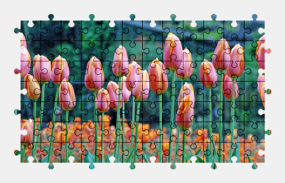 Jigsaw puzzle online tulip,flower,nature,colorful,england