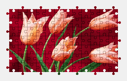 Jigsaw puzzle online pink,tulip,flower,plant