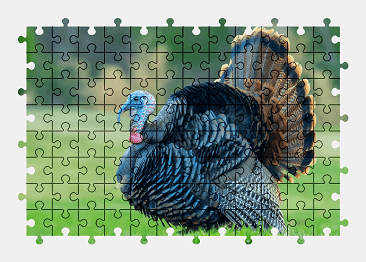 Jigsaw puzzle online bird,animal,colorful,nature
