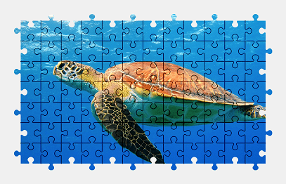 Jigsaw puzzle online sea,turtle,animal,water,underwater,colorful