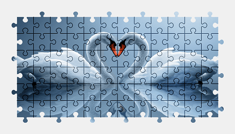 Jigsaw puzzle online white,swan,bird,animal