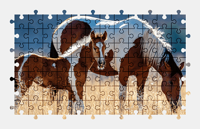 Jigsaw puzzle online wild,horse,animal,nature,pasture,colorful