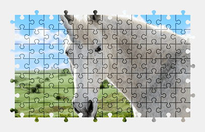 Jigsaw puzzle online unicorn,horse,animal,colorful