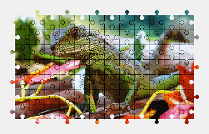 Jigsaw puzzle online lizard,dragon,animal,colorful