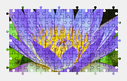 Jigsaw puzzle online water-lily,flower,nature,colorful
