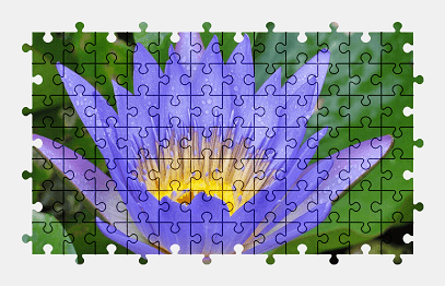 Jigsaw puzzle online blue,flower,pond,water-lily,colorful