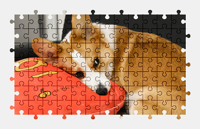 Jigsaw puzzle online welsh-corgi,dog,animal,pet