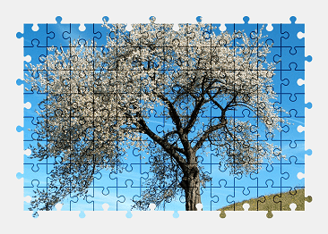 Jigsaw puzzle online wild,cherry,tree,nature,fruit,colorful