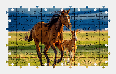 Jigsaw puzzle online wild,horse,animal,nature,colorful