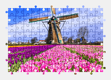 Jigsaw puzzle online windmill,tulip,flower,colorful,nature