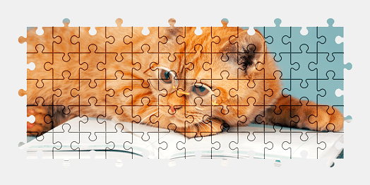 Jigsaw puzzle online cat,funny,animal,pet,colorful