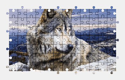 Jigsaw puzzle online wolf,animal,colorful