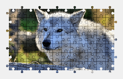 Jigsaw puzzle online wolf,animal,colorful