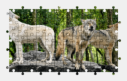Jigsaw puzzle online wolf,animal,nature
