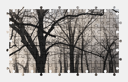 Jigsaw puzzle online fog,tree,forest,autumn,nature