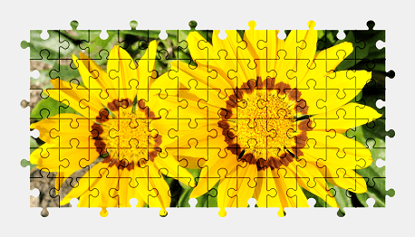 Jigsaw puzzle online yellow,flower,nature,colorful