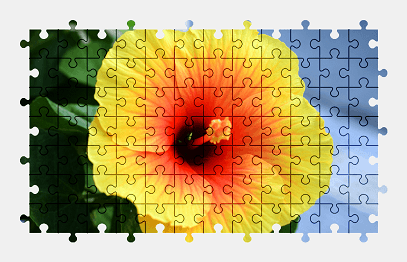 Jigsaw puzzle online yellow,hibiscus,flower,colorful