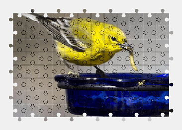 Jigsaw puzzle online yellow,bird,animal,colorful