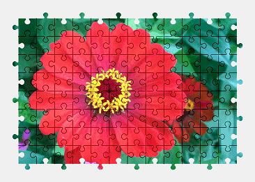 Jigsaw puzzle online zinnia,flower,nature,colorful